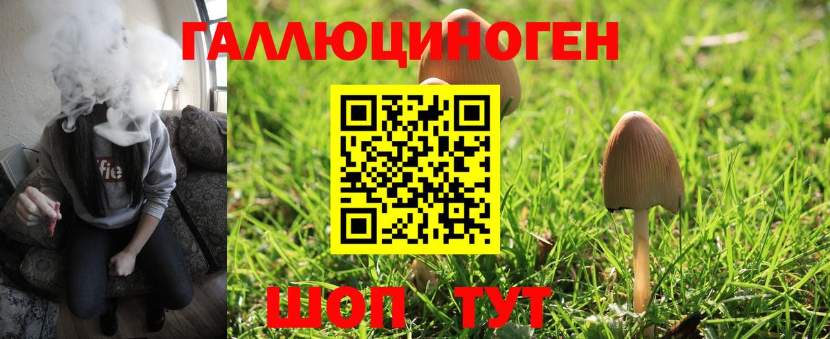 Псилоцибиновые грибы MAGIC MUSHROOMS Каменск-Шахтинский